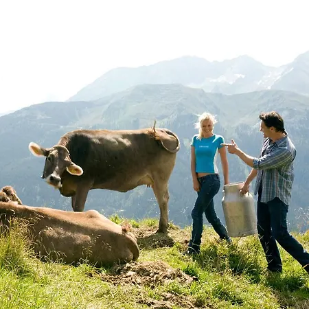 Madseiterhof Гостевой дом 3*